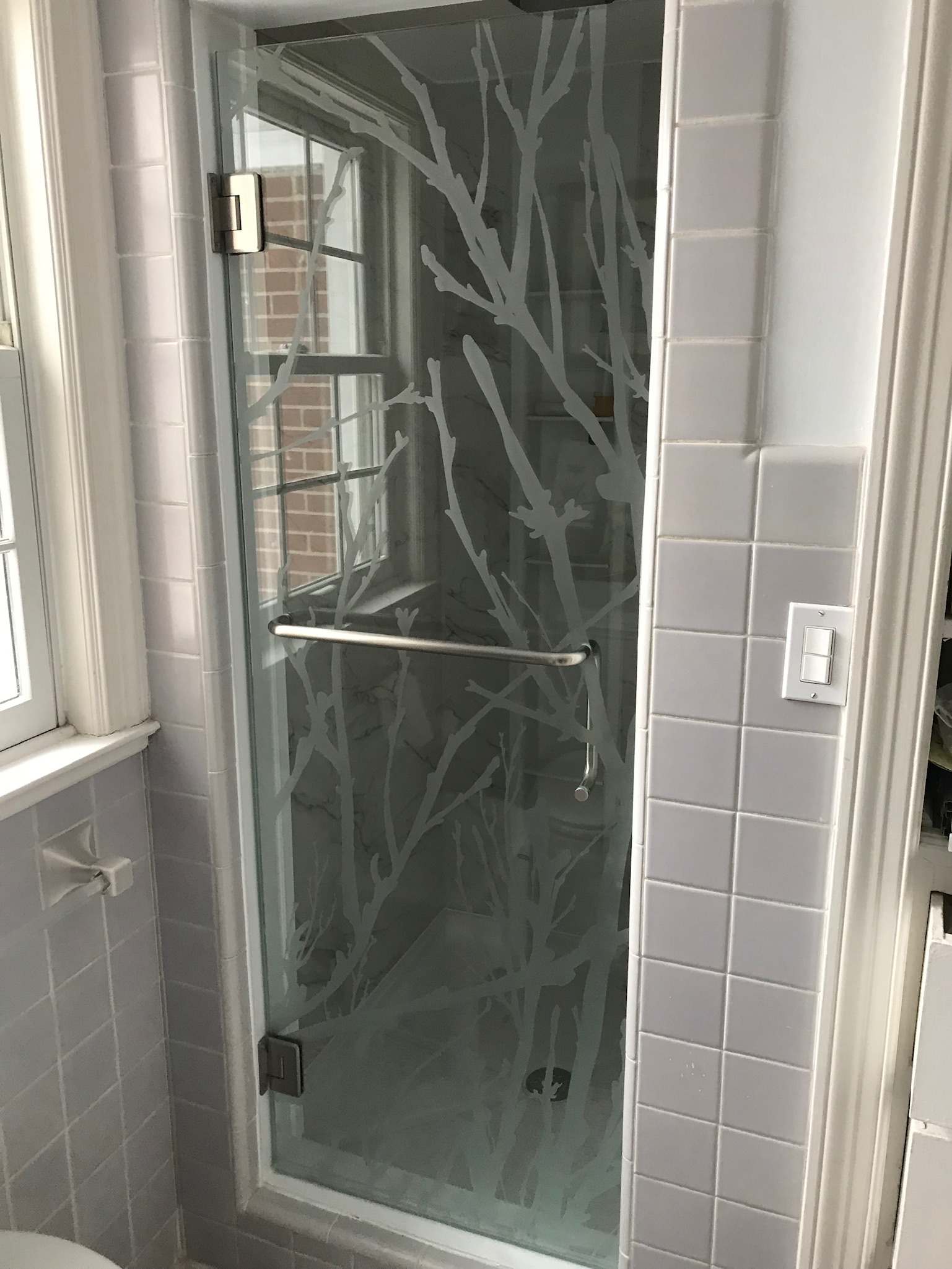 Shower Enclosure Image #1
